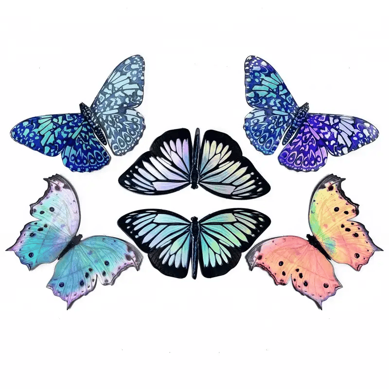 Moth & Myth Holographic Sticker Pack - Wanderer