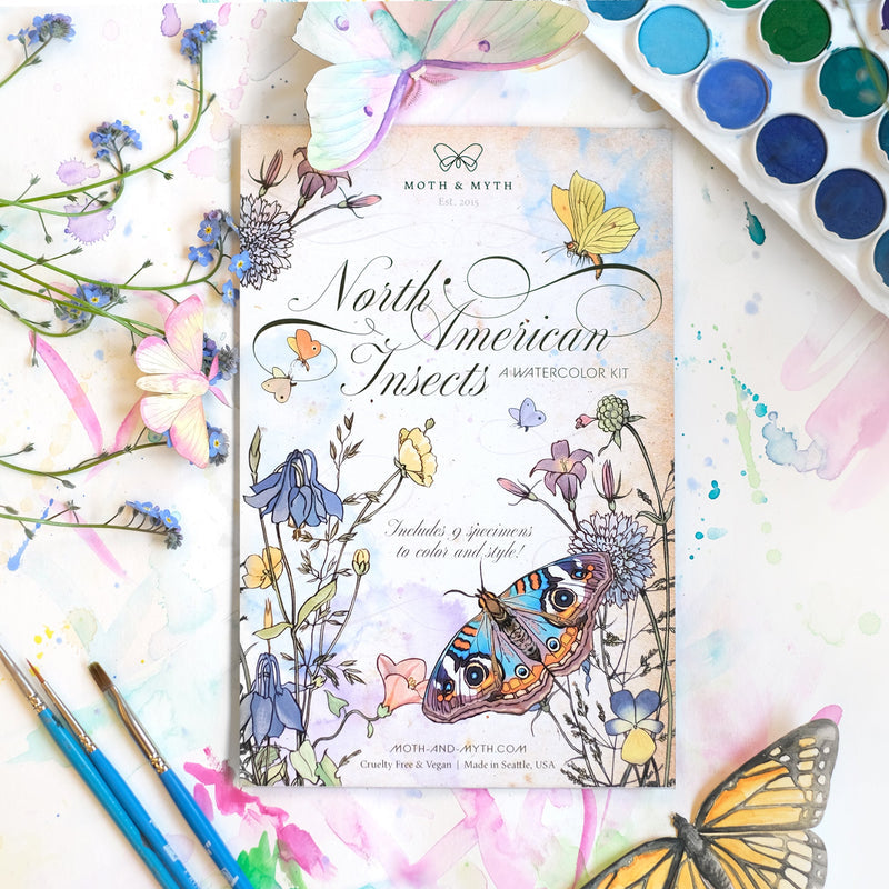 North American Insects Watercolour Kit